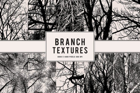 Branch Textures: Realistic Digital Textures for Creative Projects
