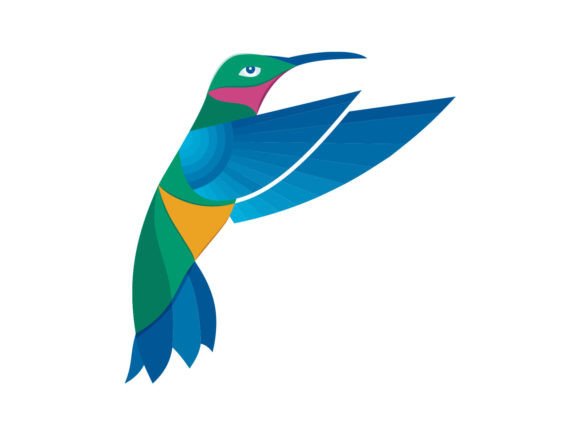 Hummingbird Illustration Vector for Creative Projects
