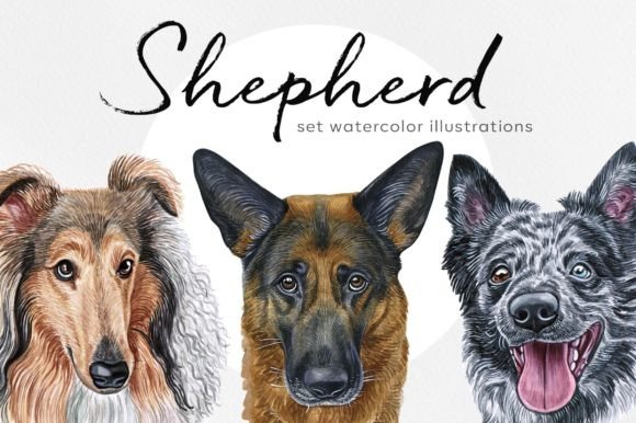 Shepherd Dogs Watercolor Set 12